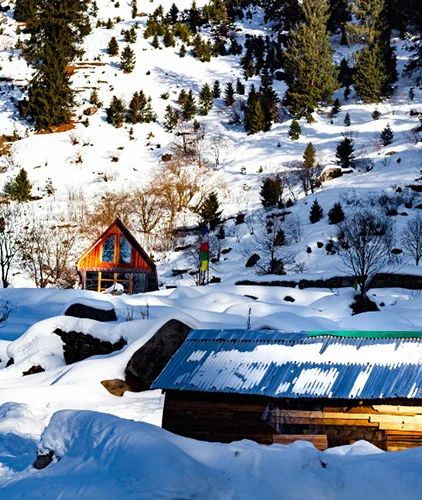 Himachal Honeymoon Tour Package